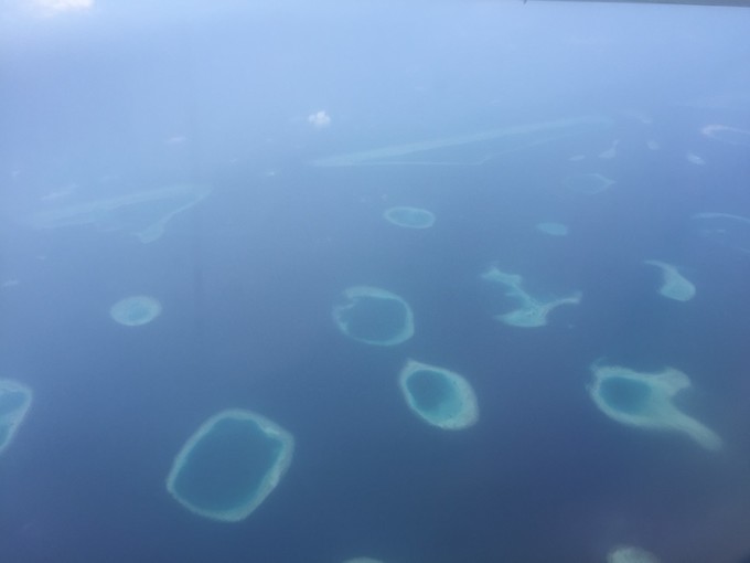 阿玛瑞